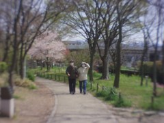 春の散歩道