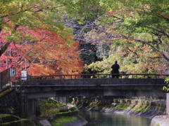 山科疏水