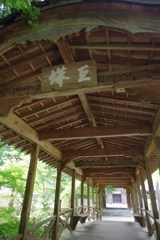 巨蟒