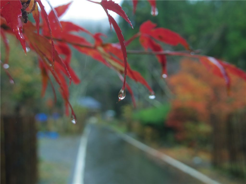 雫