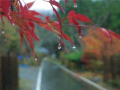 雫