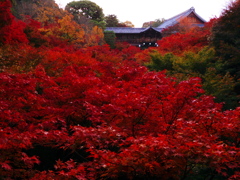 紅の雲を踏んで