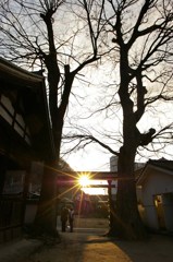 神域より