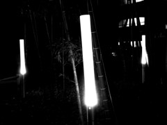 Light Saber