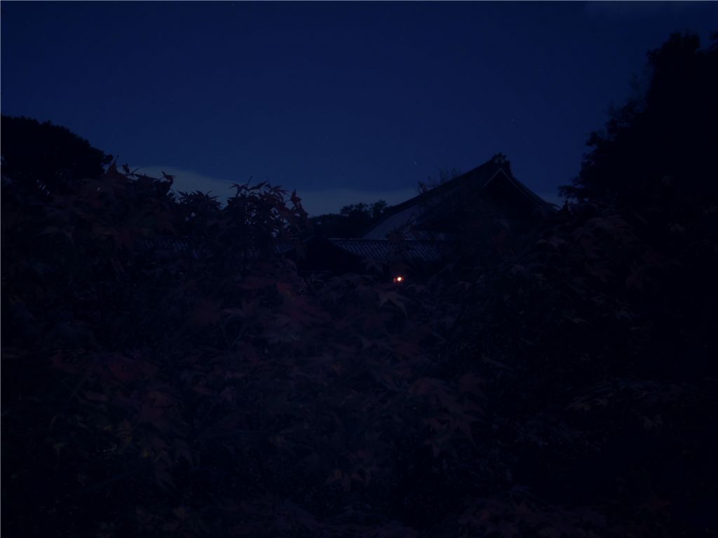 月明