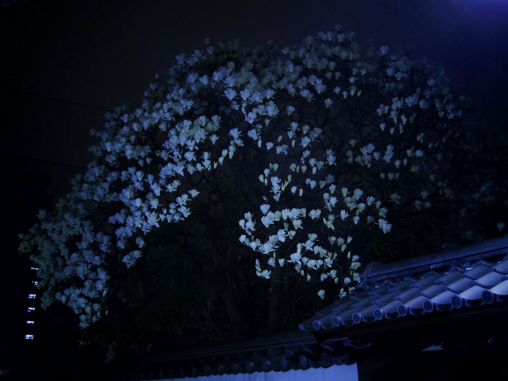 Hono-Jiro 仄白