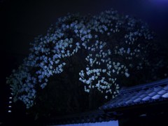 Hono-Jiro 仄白