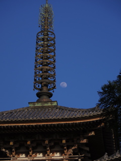 塔に出る月