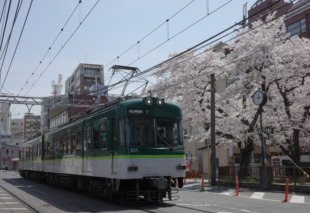 花と電車#2