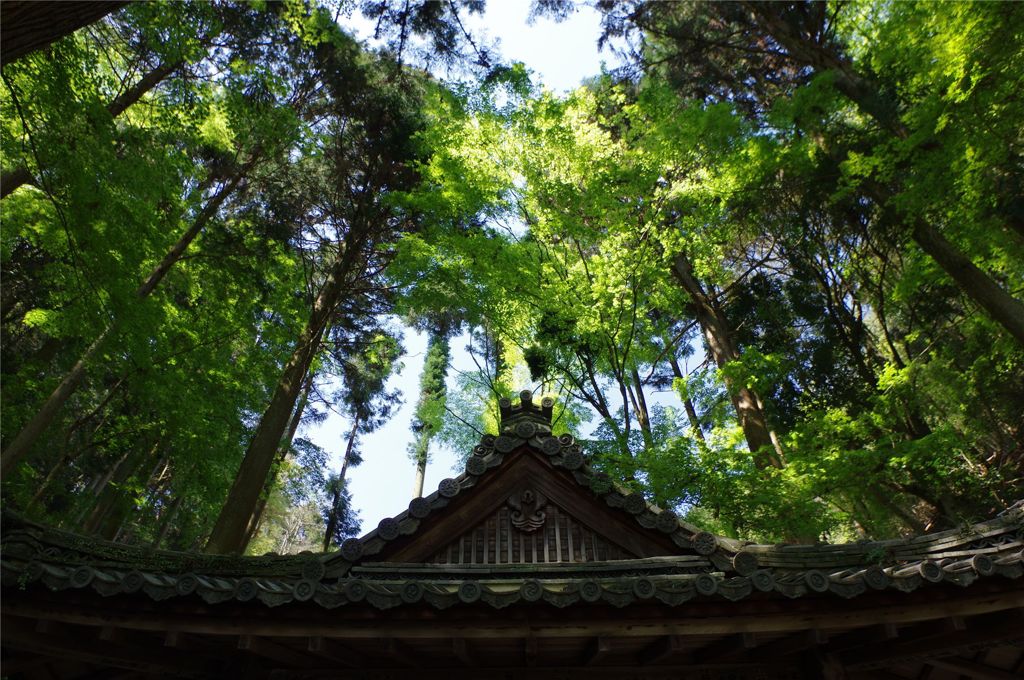 山のお寺#1