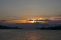一羽の鴎が