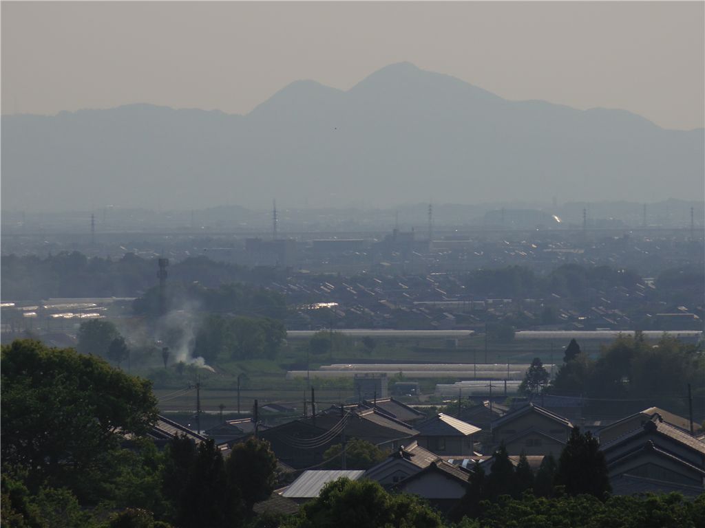 春霞 #1