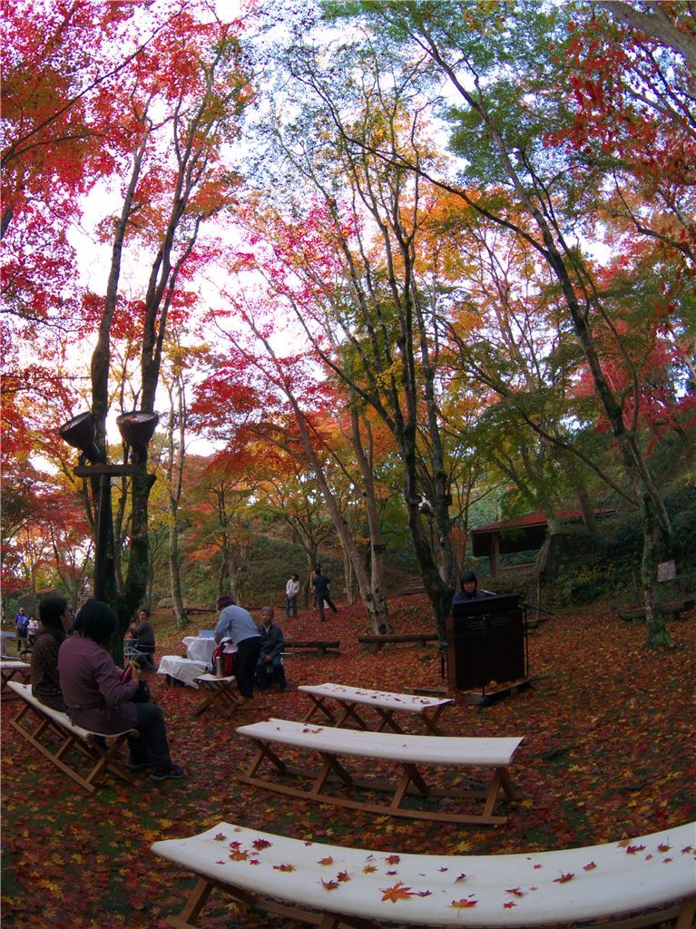 紅葉の森のConcerto