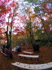紅葉の森のConcerto