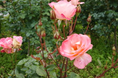 DSC02028