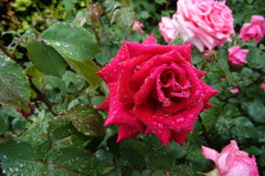 DSC01234