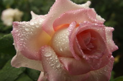 DSC01207