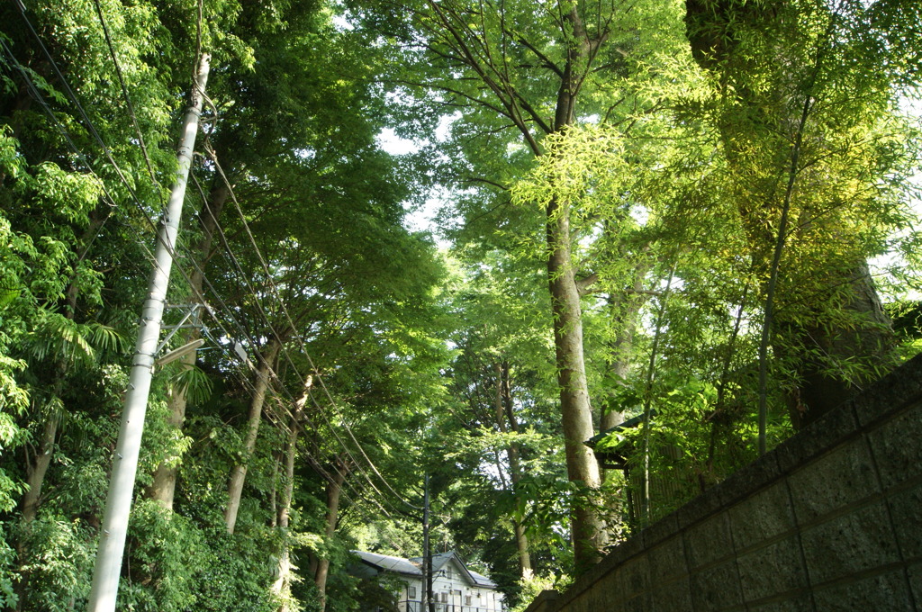 夏の気配