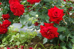 DSC02011