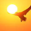 飛べ!! 太陽のせて