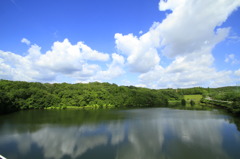２０１０年　夏
