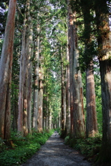 参道