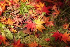 I would like it again next year.