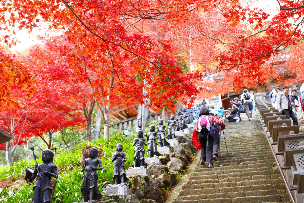 Autumn walk.(It was very hard!)