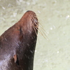 気分良く