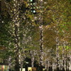 秋の夜長
