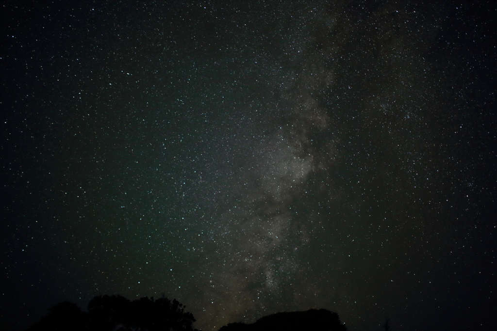 Wonderful starlit sky!