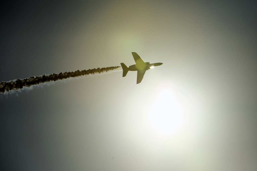 Solar bird