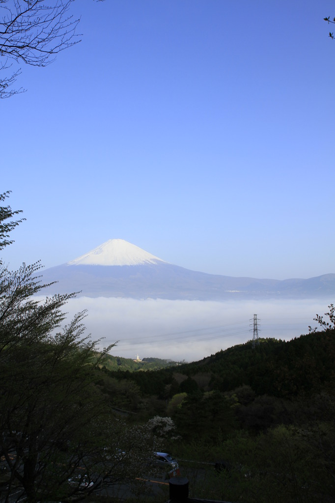 努力の富士山
