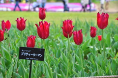 プリティーウーマン