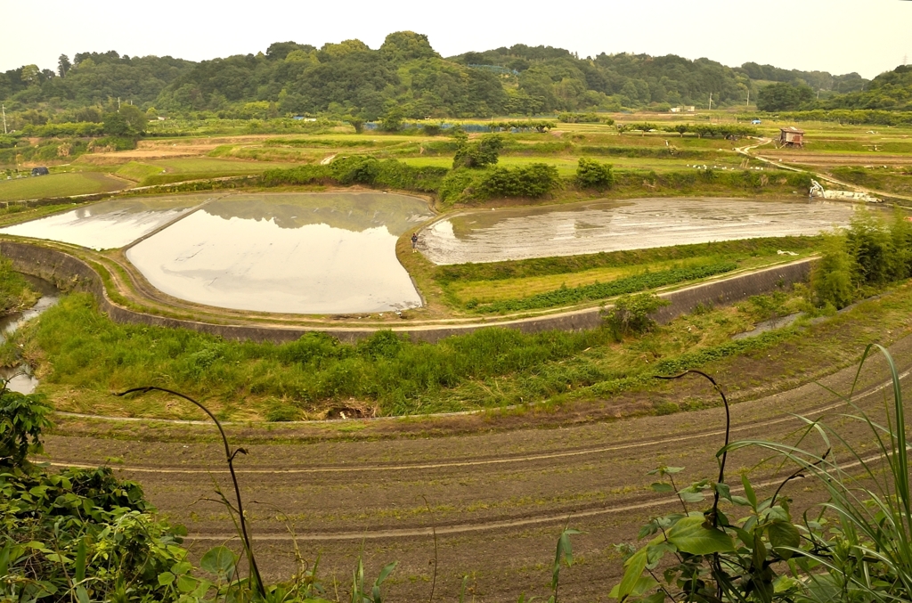 落日前の田園風景