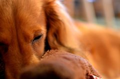 Zzz…