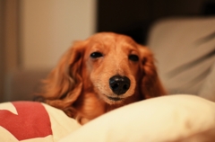 眠たくて眠たくて… 
