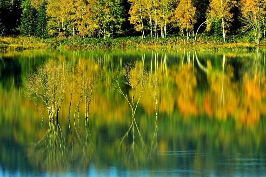 秋のコントラスト
