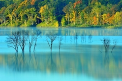 Zooming of autumn