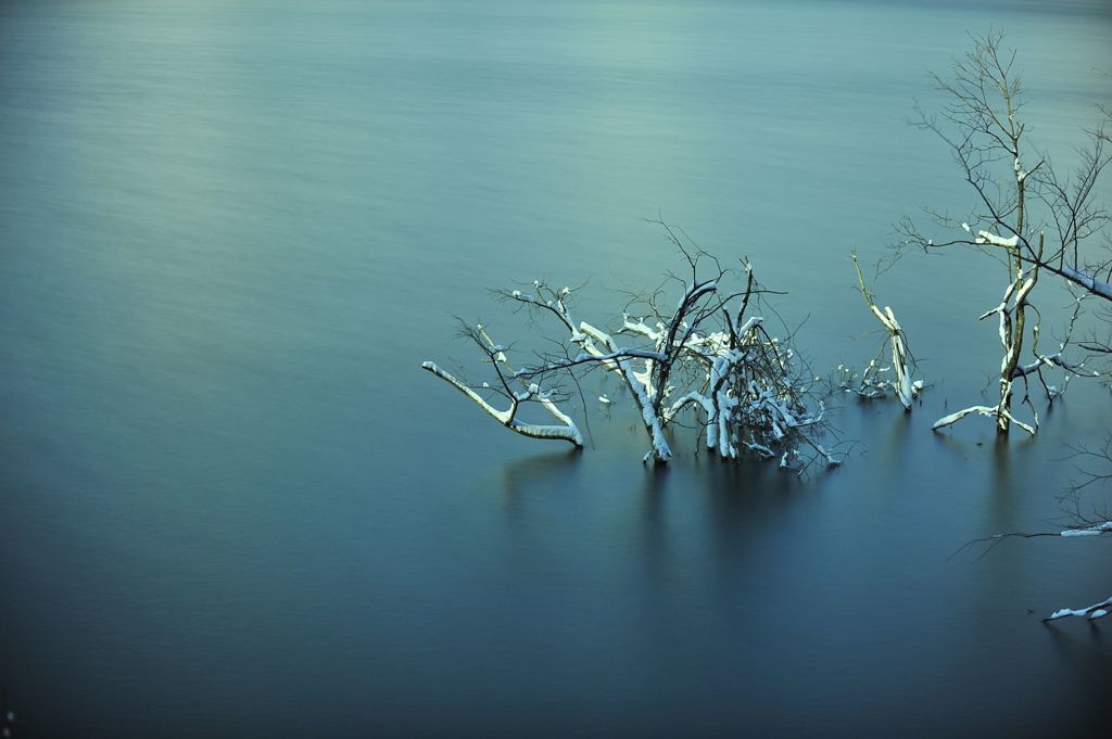 解き放たれし氷夢