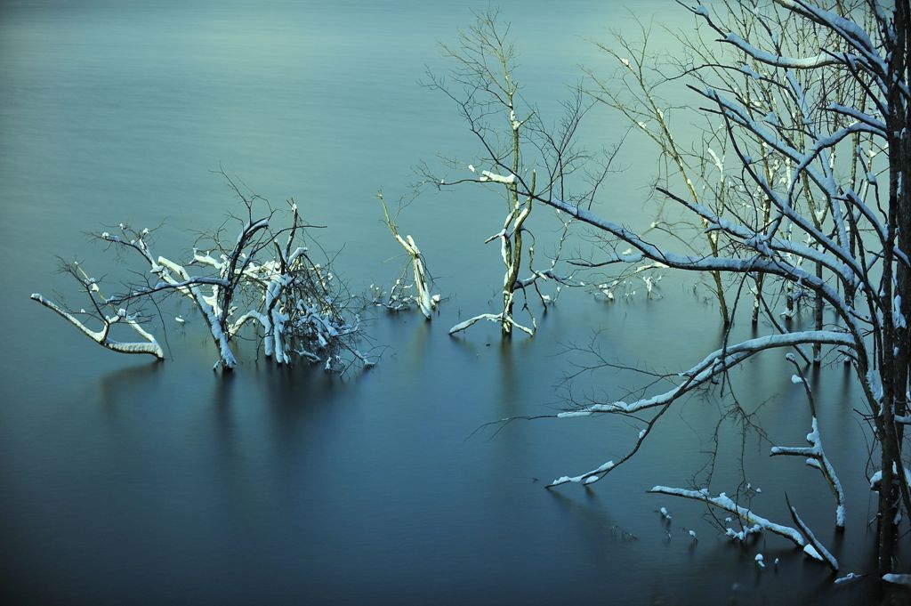 リヒテンシュタインに憧れて