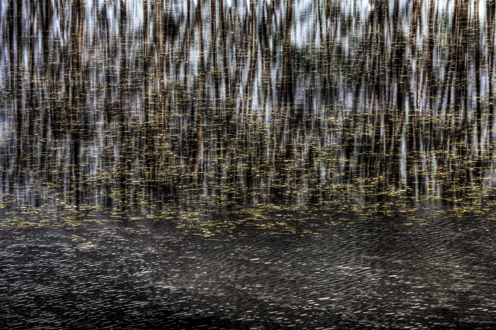 Water surface