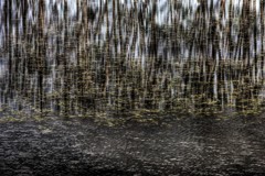 Water surface