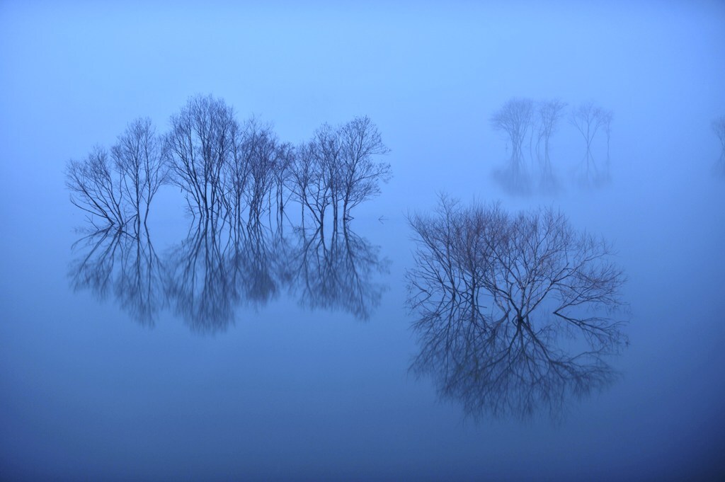 Blue fog elusive