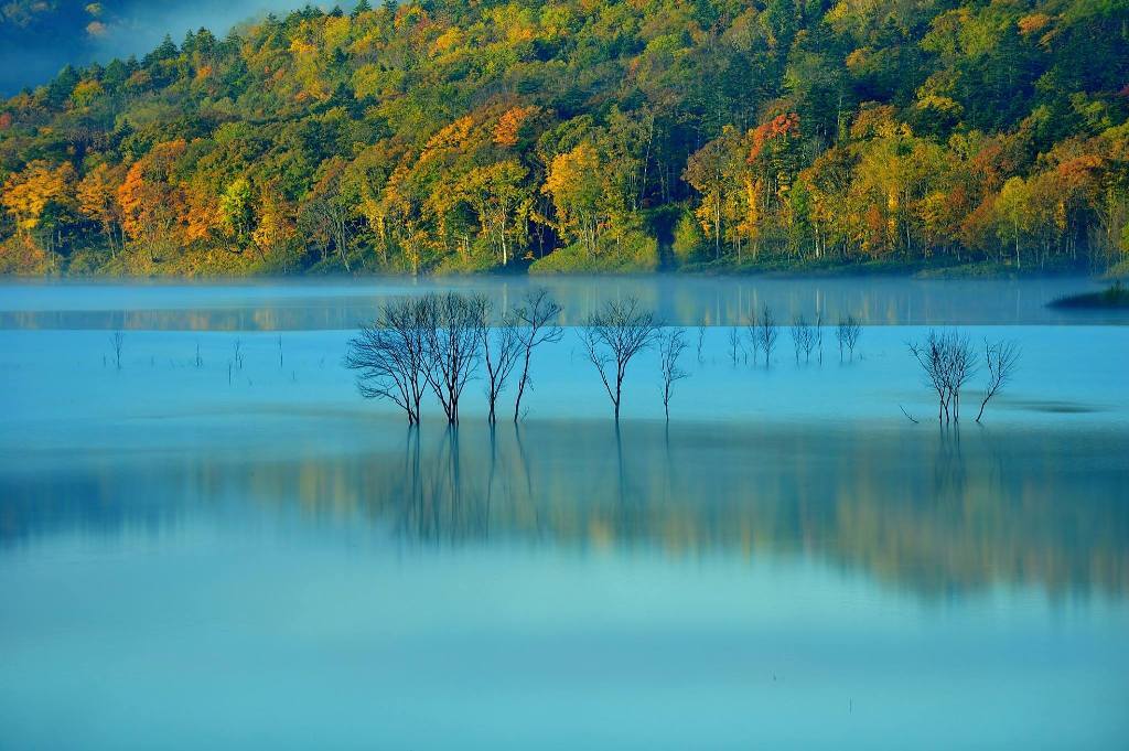 Bright blue morning