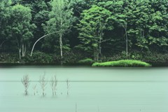 雨に煙る