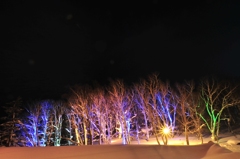 夜更けのカタルシス　-　Late Night Catharsis