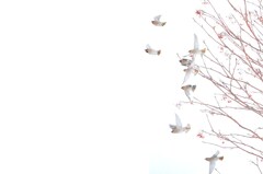 明日があるなら - Tomorrow Flight