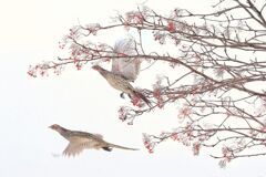 There are good things too