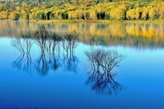 The surface of the water such as the mir